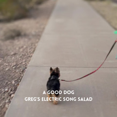 A Good Dog