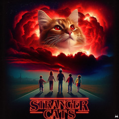 Stranger Cats