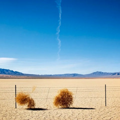 Tumbleweed