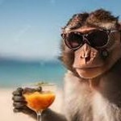 BOMBOMTLEG- KEINEMUSIK