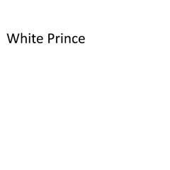White Prince