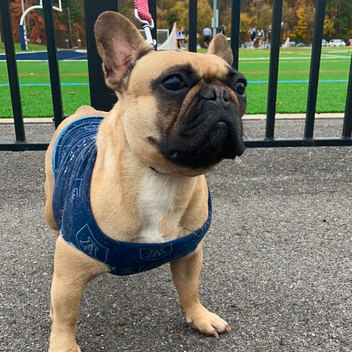 SACWLAX WARM UP 2025