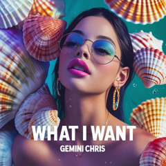 GEMINI CHRIS - WHAT I WANT (Amapiano Mix)