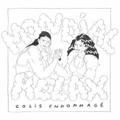 colis endommagé