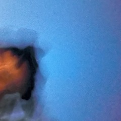 EE