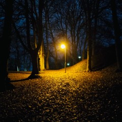 i can't just forget (jacob vallen)