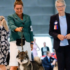 LIVE ~ World Dog Show Geneva, Palexpo 2023 | Live Stream
