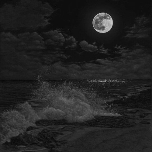 Poetc Rizz Stream Poetic rizz - La leçon particuliére (Tiktok Audio) by MURREMA 🫤 ...