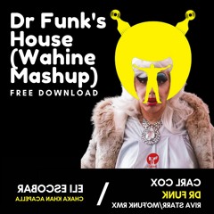 FREE DOWNLOAD: Dr Funk's House (Wahine Mashup)