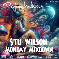 #256 Profound Radio Progressive House @djstuwilson