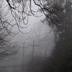 иду по туману (DEMO)