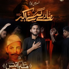 Maray Gaye Akbar | Irtaza Naqvi Nohay 2024 | Muharram 2024/1446