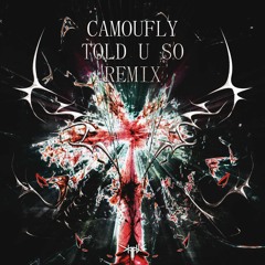 CAMOUFLY - TOLD U SO [KAIFU REMIX]