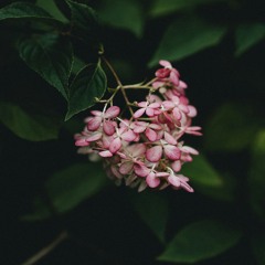 Trả lại thanh xuân cho em - H2K - Remix Houselak