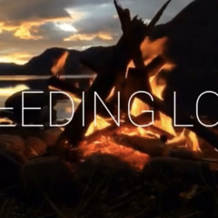 BLEEDING LOVE
