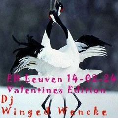 A New Day Valentines EDition ED Leuven DJ Winged Wencke