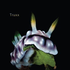 BCCO Premiere: Truxx - Mosaic [SS7010]