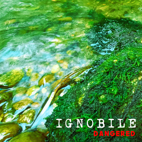 Dangered (Original Mix)