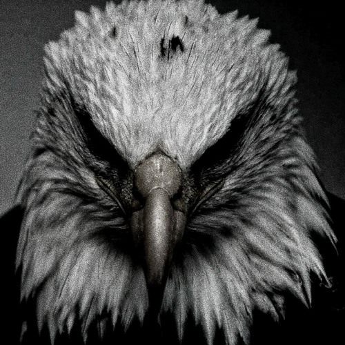 DJ Igeeks - ‘Montagem Espaço Renicht’ (unreleased)
