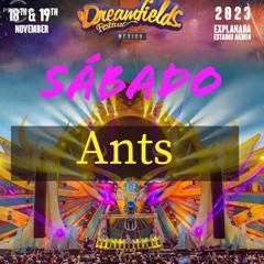 DreamFilds_23_Ants Stage