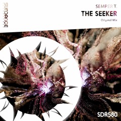 Semper T. - The Seeker (Original Mix) ((Promo))