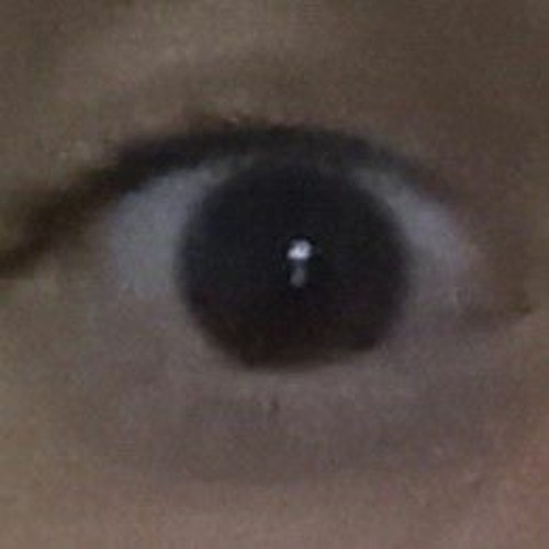 new view of my eyes lies