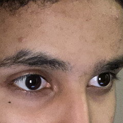 Mohameد Cant Live Mohameد Cant Die