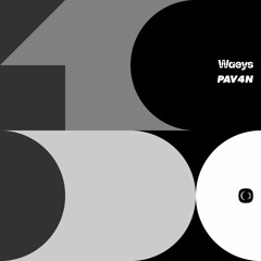 Waeys & PAV4N - Vision