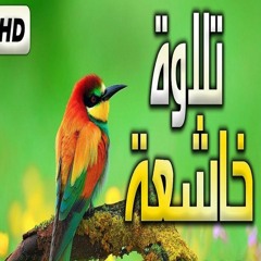surah al Mutaffifeen سورة المطففين تلاوة هادئة تريح النفس لمن يبحث عن راحة البال اسمع بقلبك ❤️
