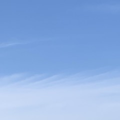 自由飛行