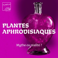 #12 - Mythe ou réalité ? - Série Les plantes aphrodisiaques