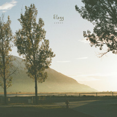 Elegy