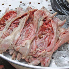 Mala com 15 kg de carne de rato é apreendida no AEROPORTO INTERNACIONAL DE VIRACOPOS EM CAMPINAS SP