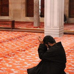 سورة التغابن - الشيخ أحمد بن طالب - فجريّة