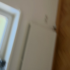 silberfische disco.wav