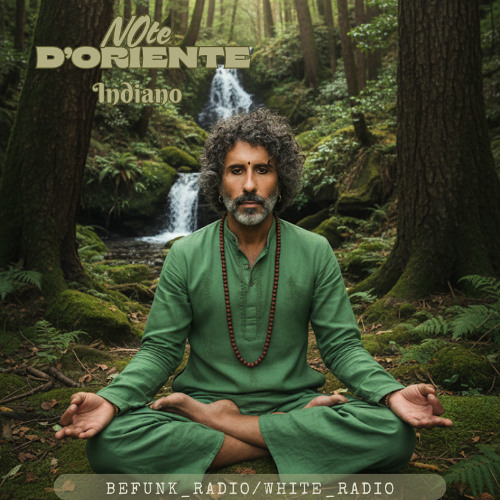 Note D'Oriente_Indiano_009_11/10/2025 (Dj/Mix)