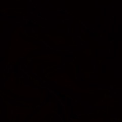 Singer (Prod. ARKII)