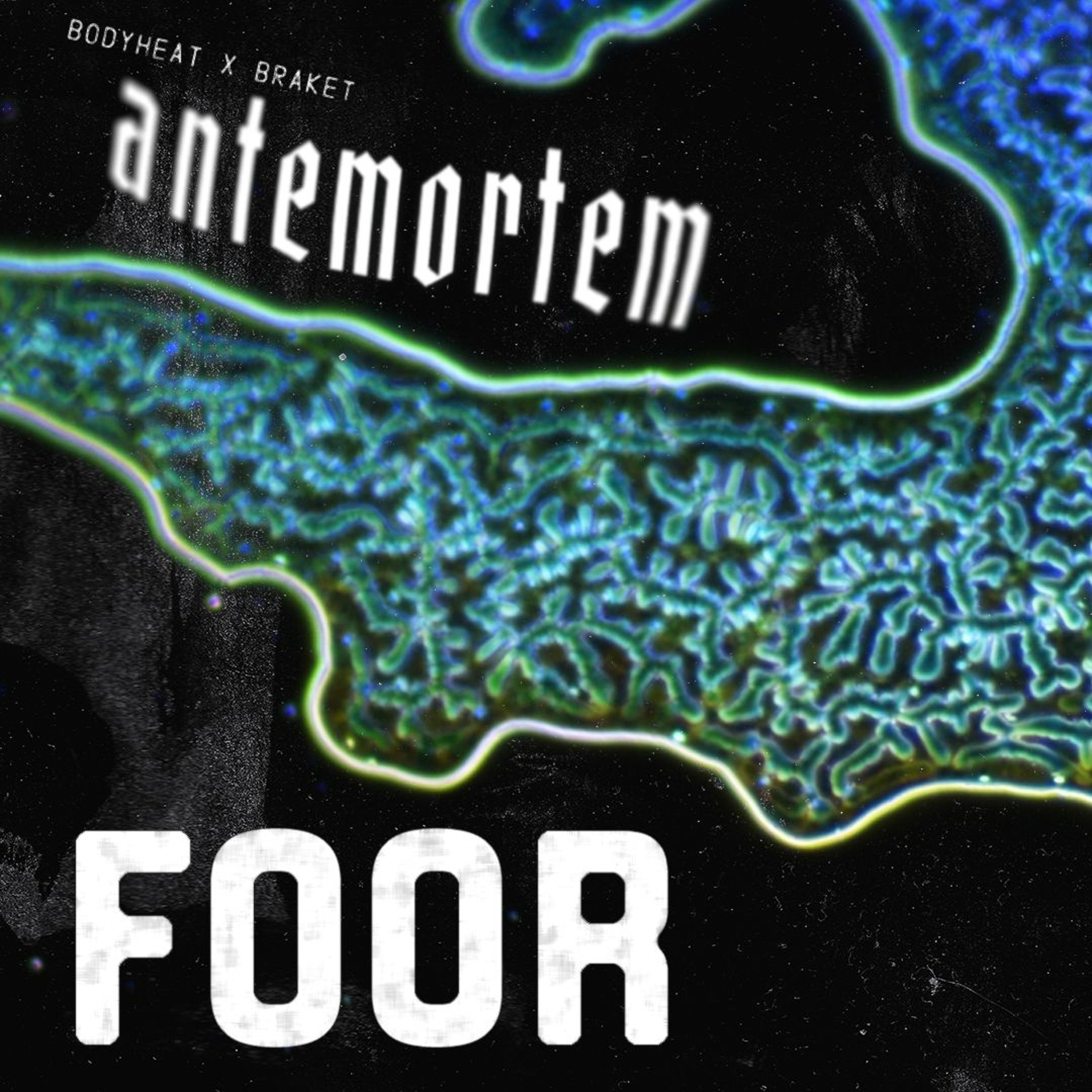 Sound Coalitions by Christopher Foor