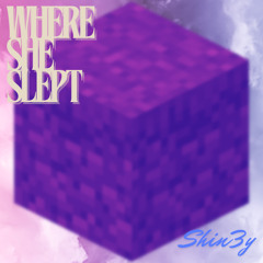 Where She Slept