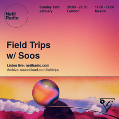 Field Trips - Dreamy Trip Hop w/ Soos