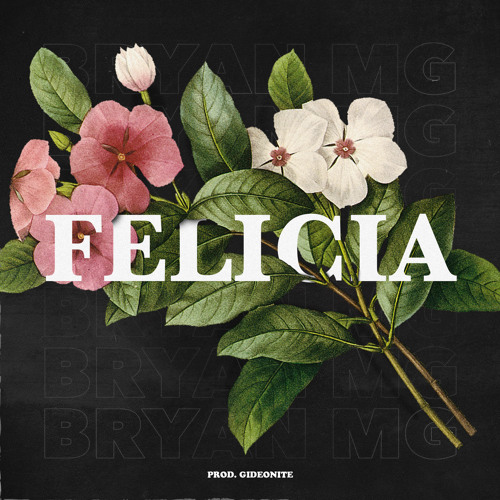 Felicia (feat. Gideonite)