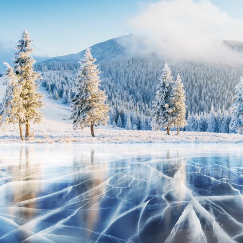 Winter Solstice Transmission