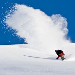 FRESH POWDER