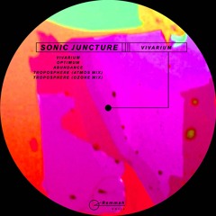 RH014: Sonic Juncture - Vivarium EP