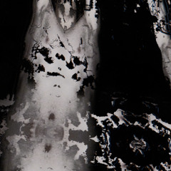 daaagon (+ mushroomwhore)