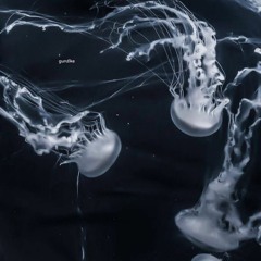 eevee - please dont go