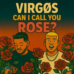 VIRGØS Project