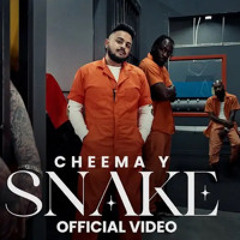 Cheema Y Snake
