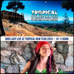 Bird Lady Live at Tropical New Year 2024 -- 10AM-1130AM