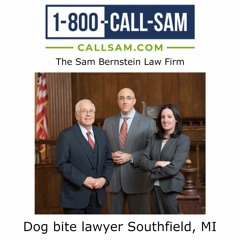 Dog bite lawyer Southfield, MI